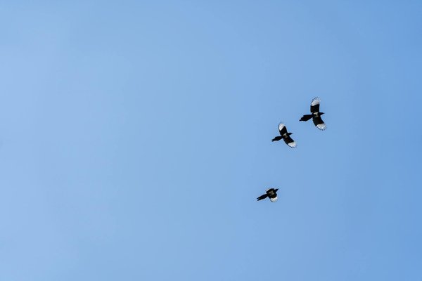 Unlocking Peak Performance: How Customized Nutrition Can Boost Endurance Athletes